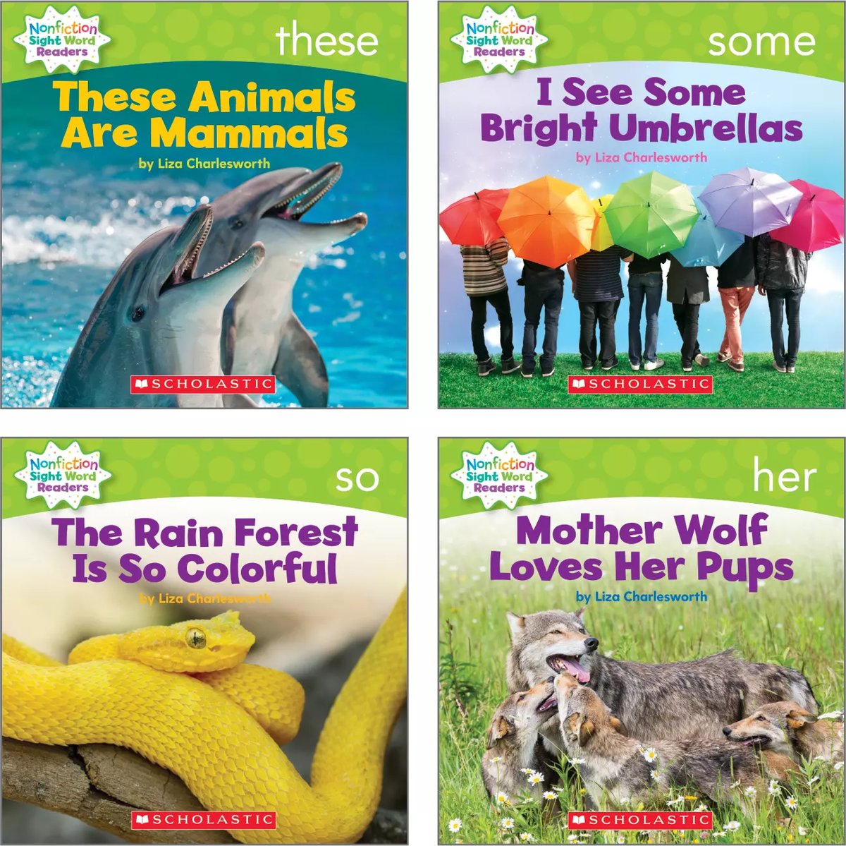 Nonfiction Sight Word Readers - Level C