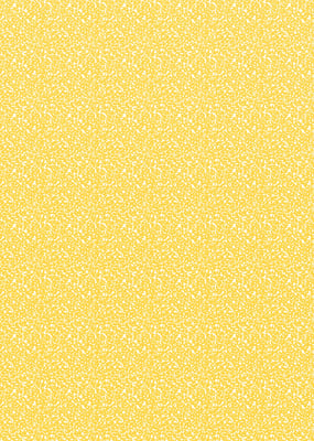 Product list item